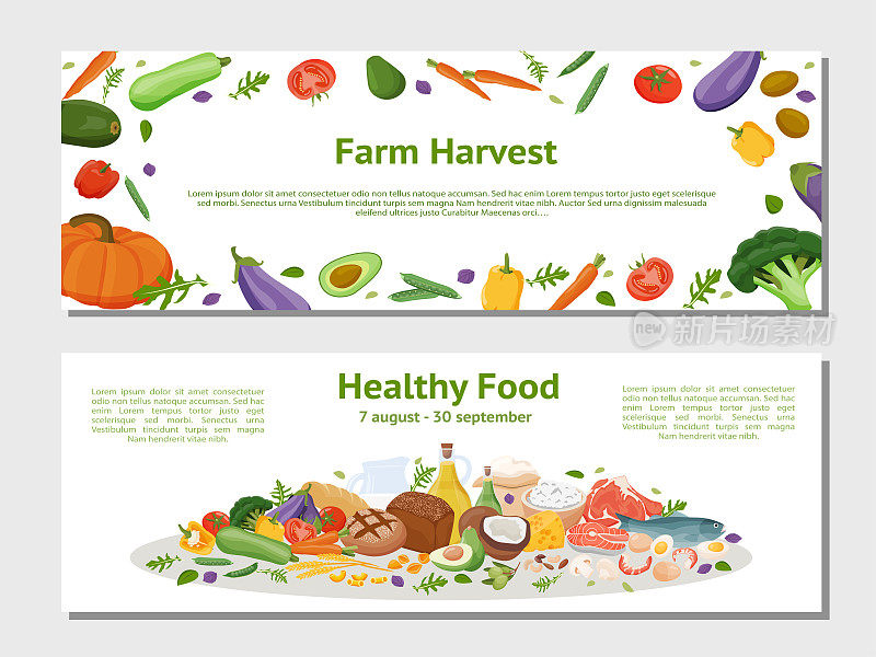 农场的收成。新鲜蔬菜和健康的生态产品在广告海报上展销。农贸市场海报模板。一套杂货传单。