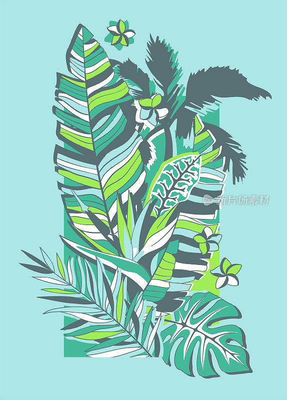 热带植物群组成2奇异的热带植物插图。芭蕉叶+魔芋+棕榈树+蕨类+佩特拉克罗顿+天堂鸟花+鸡蛋花。可编辑的中风