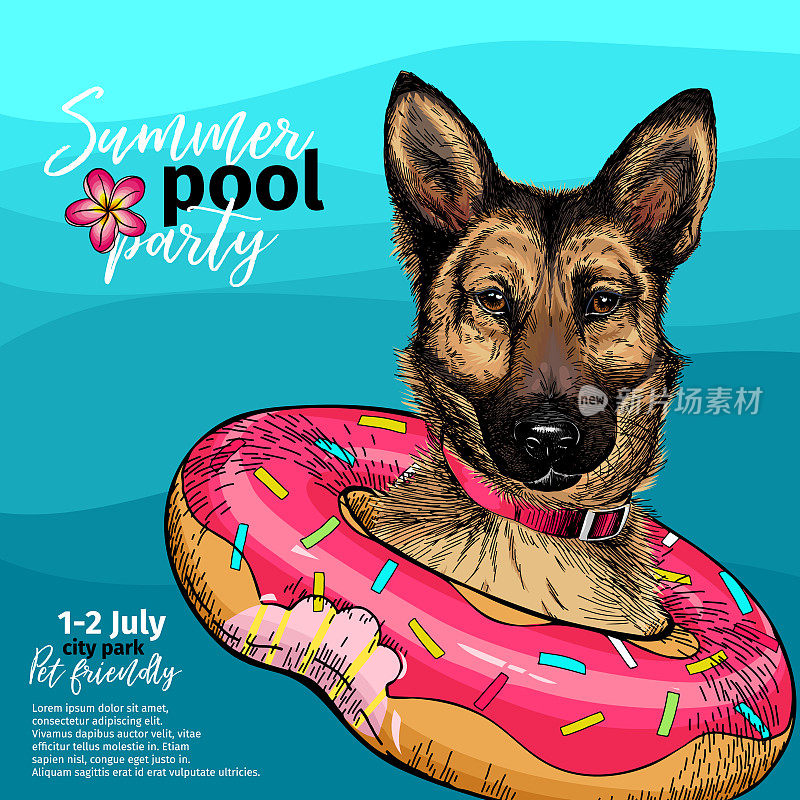 在水里游泳的德国牧羊犬的矢量肖像。甜甜圈浮动。夏季泳池paty插图。海洋,海洋,沙滩。手绘宠物肖像。海报，t恤印花，假期，明信片，夏天。