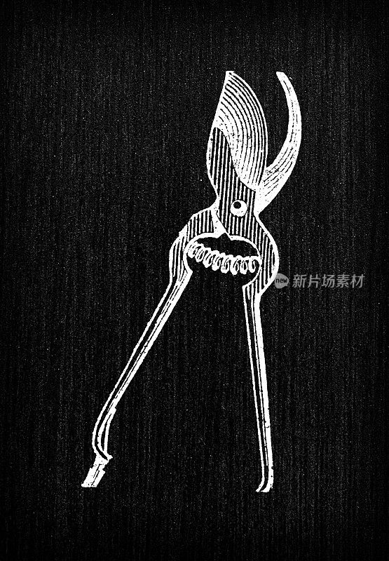 古色古香的法国版画插图:剪刀