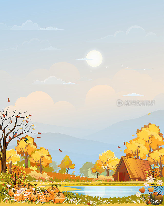 秋天的乡村景观在傍晚的光线与日落，蓝色和橙色的天空背景，矢量卡通秋天的乡村与森林树南瓜在草地上与日出，背景自然旗帜