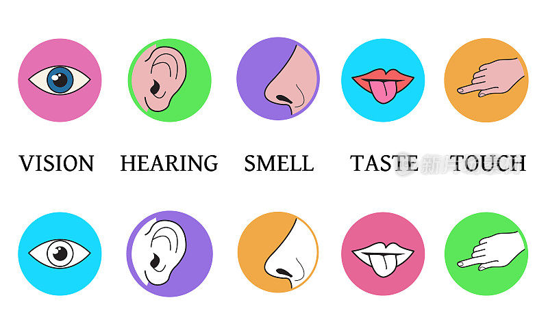 五感方法感知，味觉视觉触觉嗅觉头