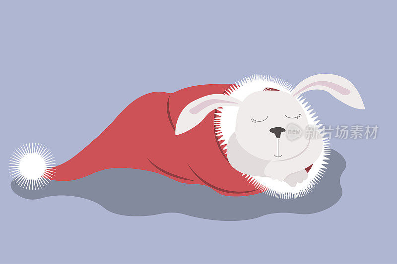 白色的兔子或兔子睡在圣诞老人的帽子在紫色的背景。
