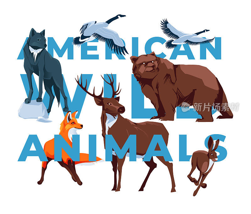 常见的森林野生动物:野兔、狐狸、狼、鹿、加拿大鹅、白底熊。国家自然公园。矢量平面插图。美洲大陆的一种动物。