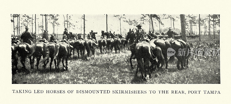 19世纪90年代，美西战争时期，坦帕港，美国陆军骑兵，带领着下了马的小规模部队向后方行进