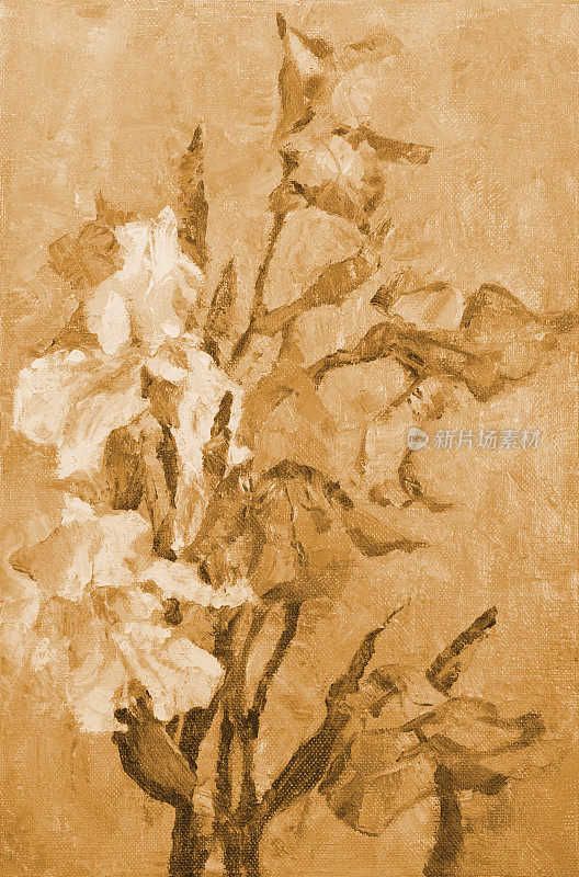 插图艺术作品油画花卉景观盛开的鸢尾花在棕褐色的背景