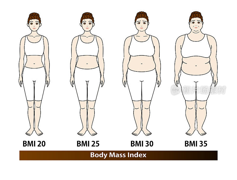 肥胖和减肥。之前和之后。矢量插图。根据BMI指数，年轻女性的体型变化。