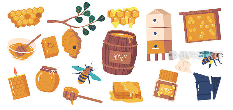 蜂房物品集。采购产品烟熏器，蜂巢，蜜罐，蜂后，蜜蜂和蜂蜡蜡烛。采购产品框架，木桶，梳子