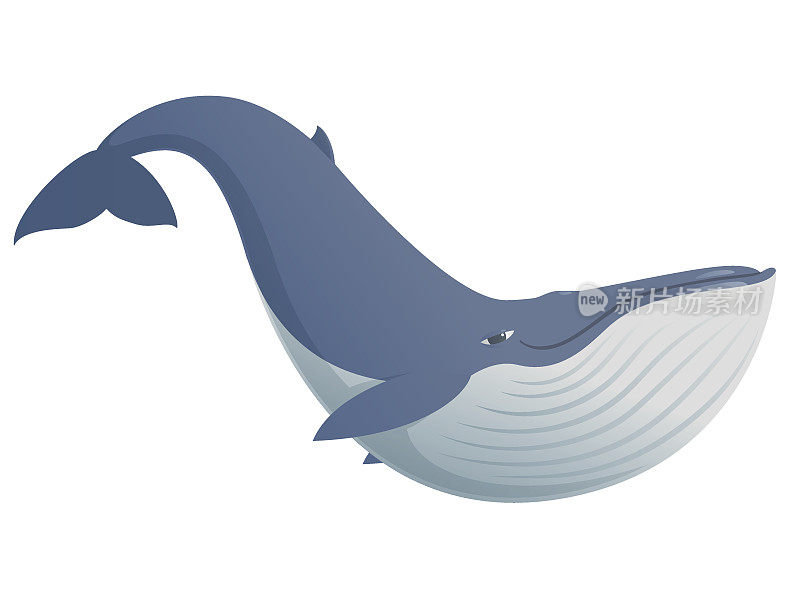 可爱有趣的蓝鲸
