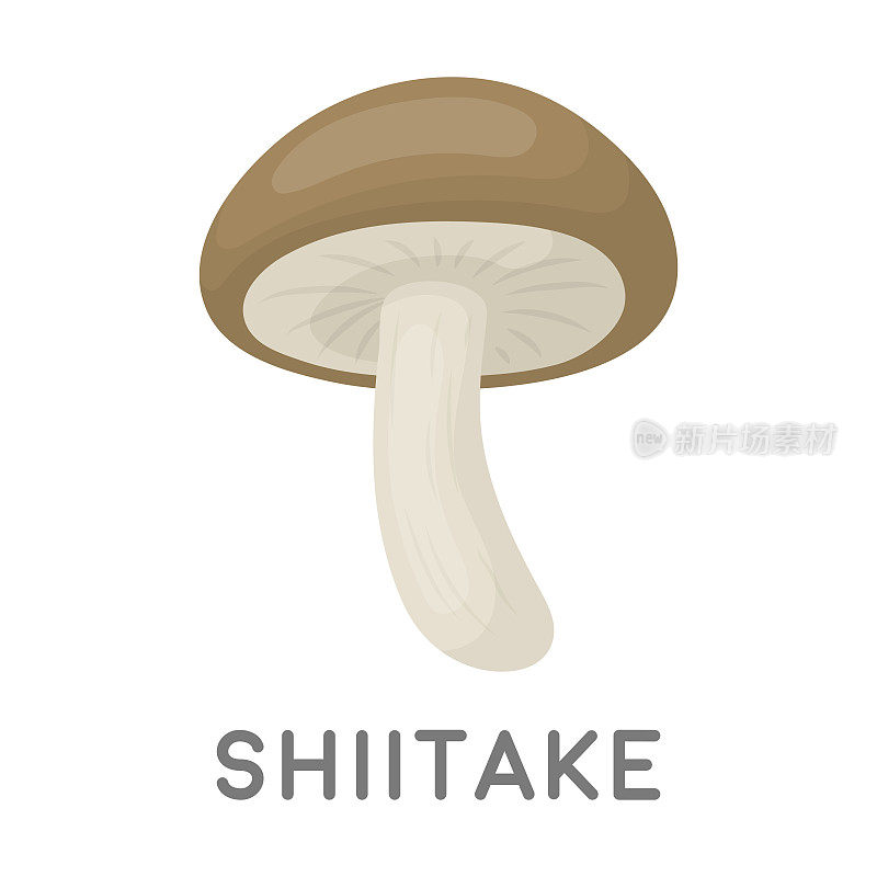 卡通风格的香菇图标孤立在白色的背景。蘑菇符号股票矢量插图。
