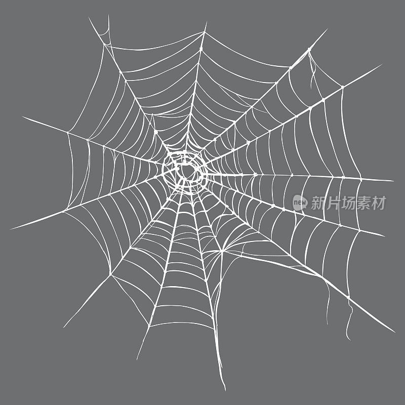 向量蜘蛛的网在深灰色的背景