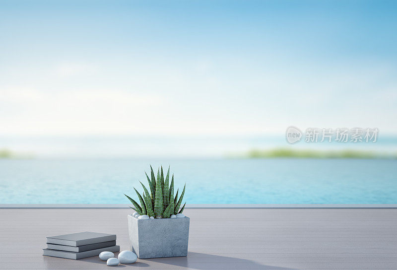 海景游泳池和露台豪华海滩别墅与模糊的天空背景，书籍附近的植物在度假家或酒店的木地板，旅游胜地的3d插图