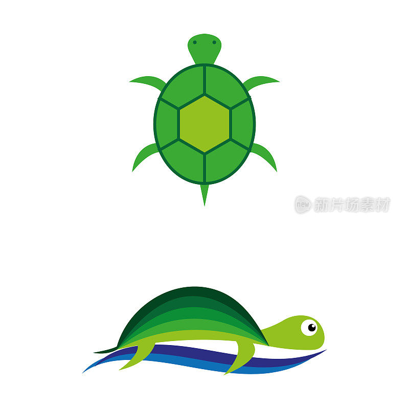 海龟6