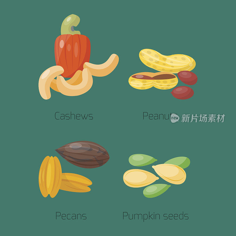 成堆的不同坚果、花生、腰果营养美味的种子载体插图