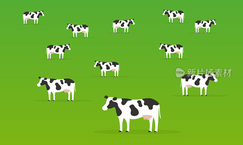 绿色背景中的奶牛群