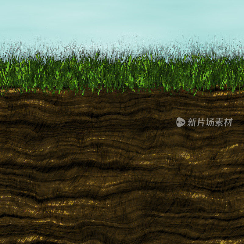 草与土壤产生纹理