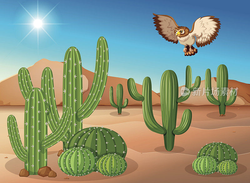 猫头鹰飞过沙漠中的仙人掌