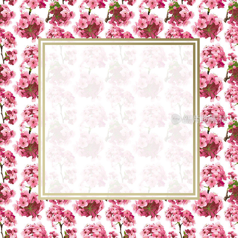 粉色樱花樱花无缝模式边界复制空间，矢量插图