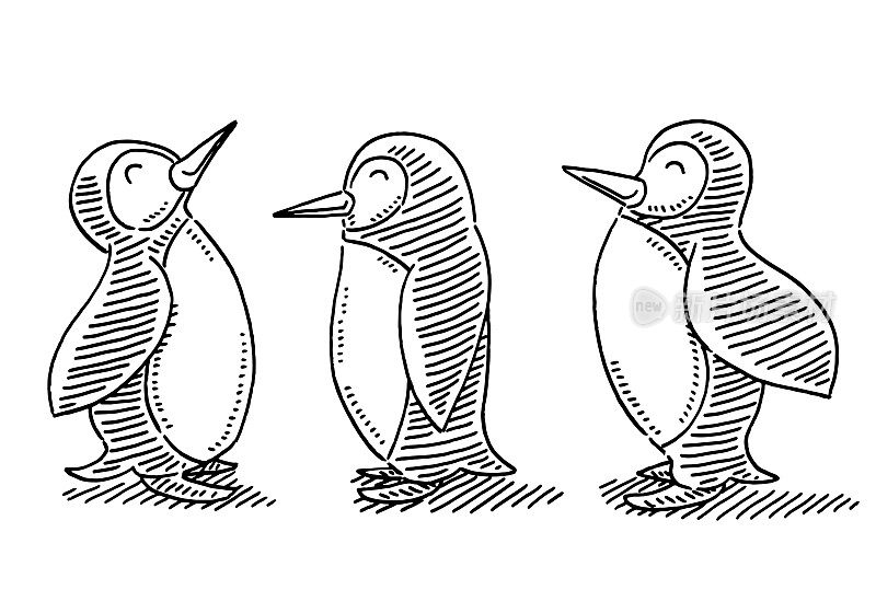 可爱的卡通企鹅图