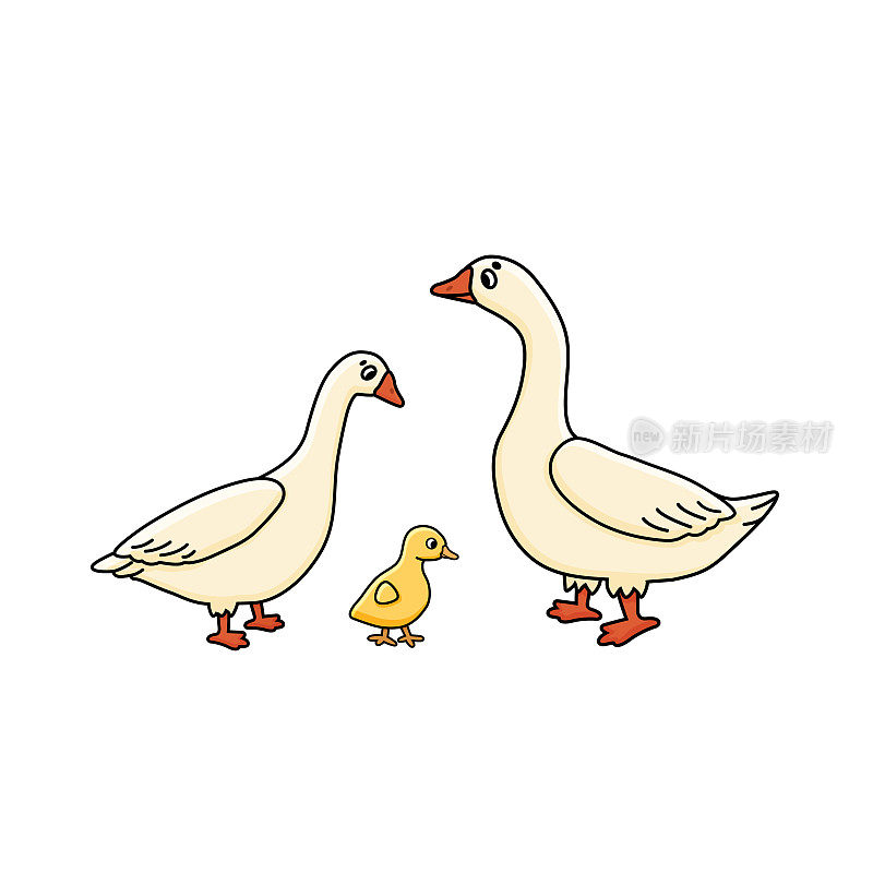 矢量可爱的轮廓涂鸦卡通鹅Anser家庭。白色雄、雌和黄色小鹅。孤立的手绘插图在白色的背景，侧视图。