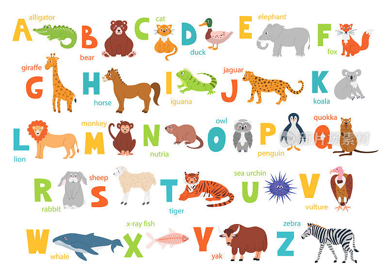 明亮的儿童字母与可爱的动物教育和手动字体。向量海报与英文字母的字母表在白色的背景在一个平坦的风格