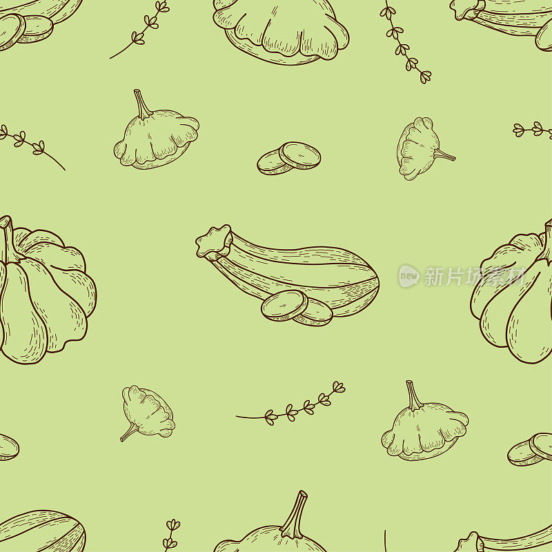 无缝蔬菜图案。线性手绘南瓜，条纹西葫芦与南瓜蔬菜在浅绿色背景。矢量插图。用于设计、装饰、壁纸、包装