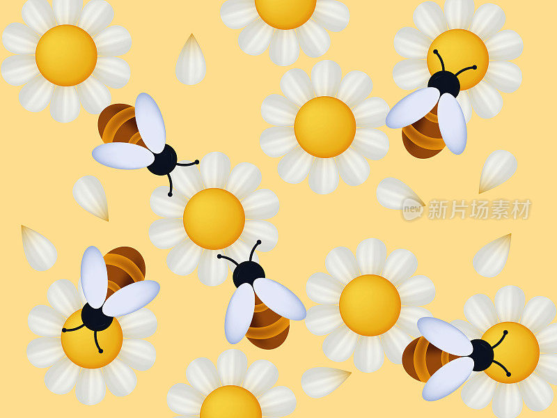 一群蜜蜂在蜂房里采蜜。矢量三维插图。这种昆虫为白色的洋甘菊或雏菊花授粉。黄色草地，环境。蜜蜂采集花粉。养蜂横幅。
