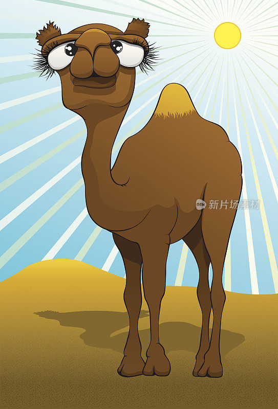 快乐的骆驼