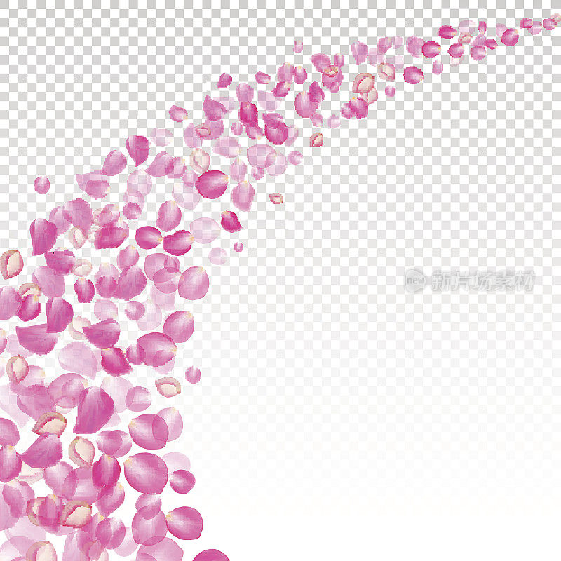 《飘》玫瑰花瓣。现实向量粉红色花瓣透明的背景