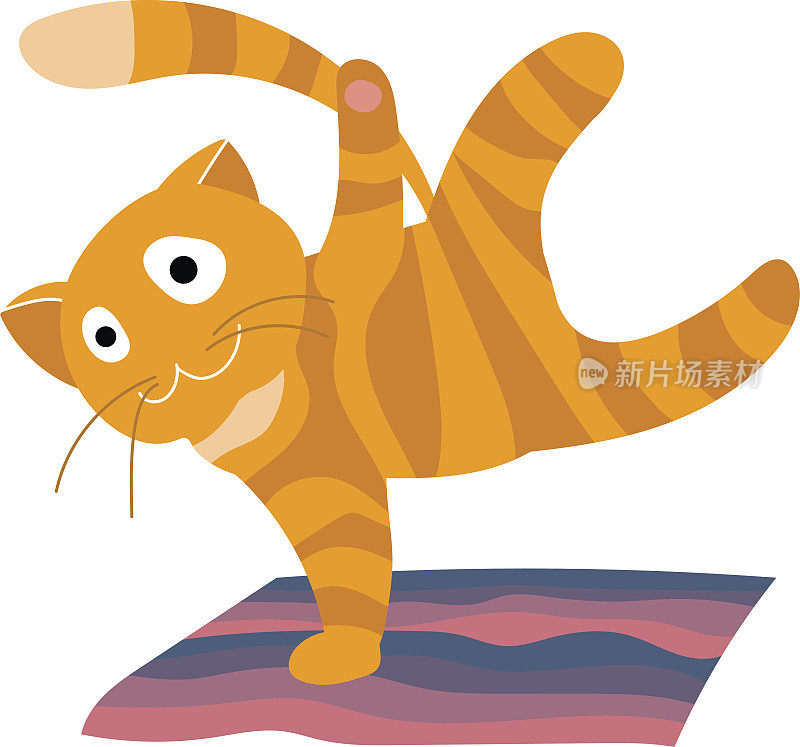 卡通橙色虎斑猫在垫子上锻炼