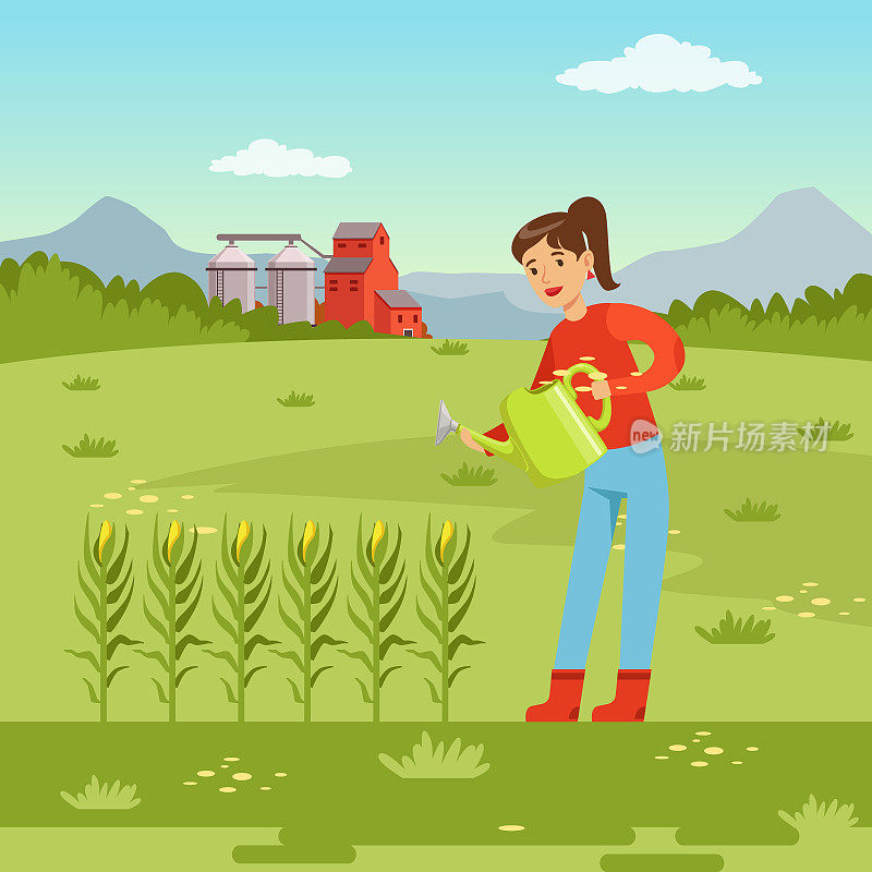 农妇用喷壶浇灌玉米植株，农业与农作，乡村景观矢量插画
