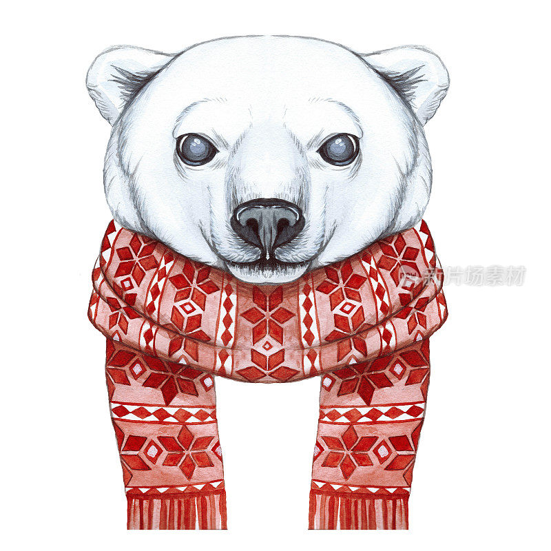 用水彩画的手法画了一只北极熊的卡通，以新年、圣诞节为主题，在一条用红色提花织成的围巾上，欢快、微笑、挥舞爪子，白色的背景，为贺卡、降临