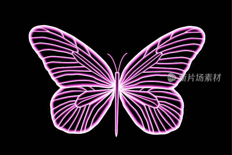 荧光粉色的蝴蝶