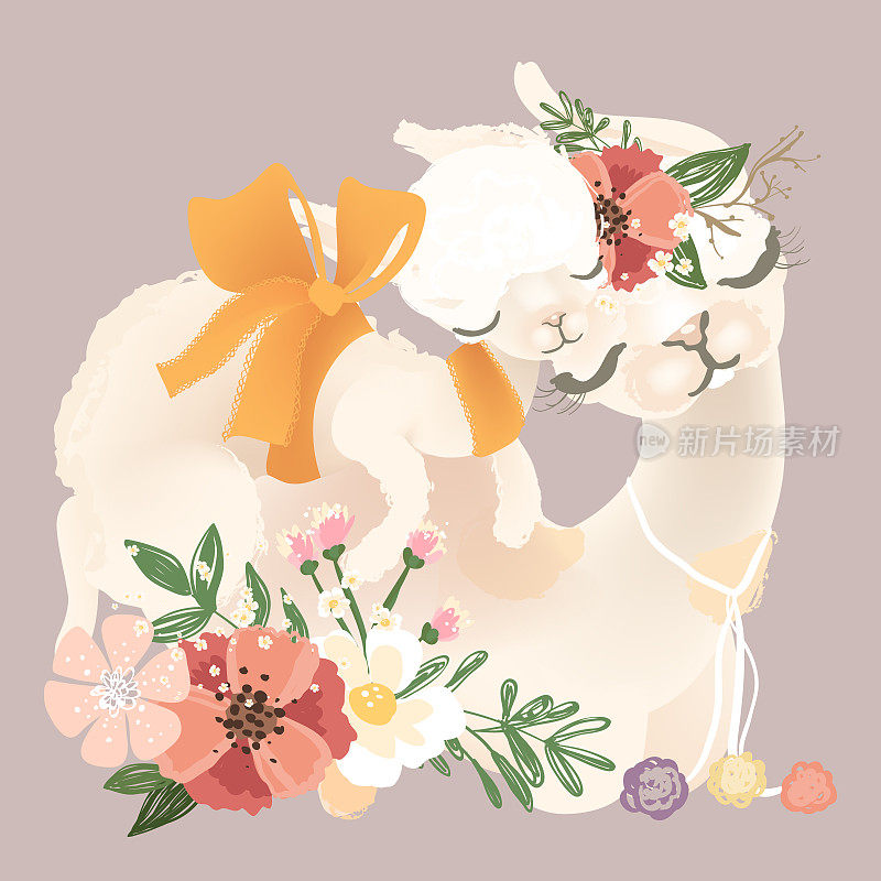 可爱的羊驼，羊驼妈妈在花，花圈，花束和蝴蝶结与她的小羊驼宝宝