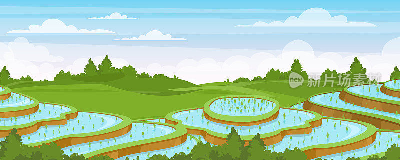 稻田景观矢量插图，卡通平坦的乡村农田风景与绿色水稻梯田与水，亚洲农业背景