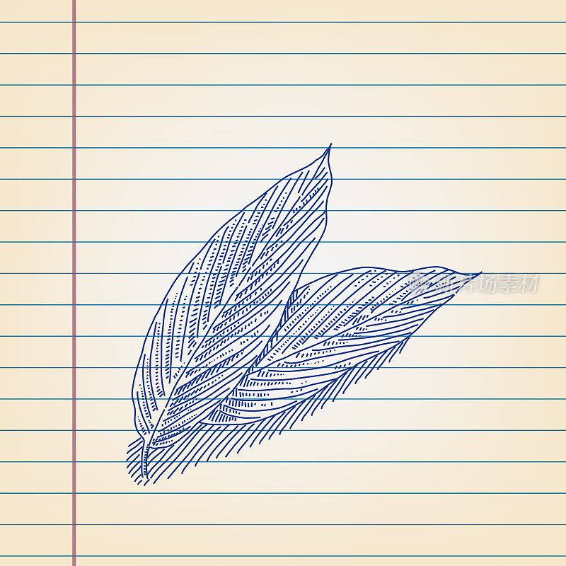姜黄叶子在横格纸上画