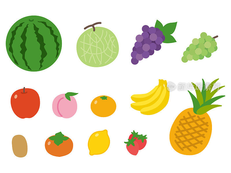 各种水果的插图。苹果，橙子，葡萄，瓜