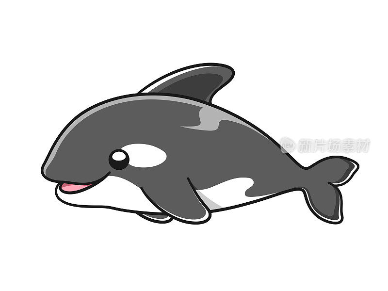 可爱的逆戟鲸矢量插图。虎鲸卡通剪贴画。