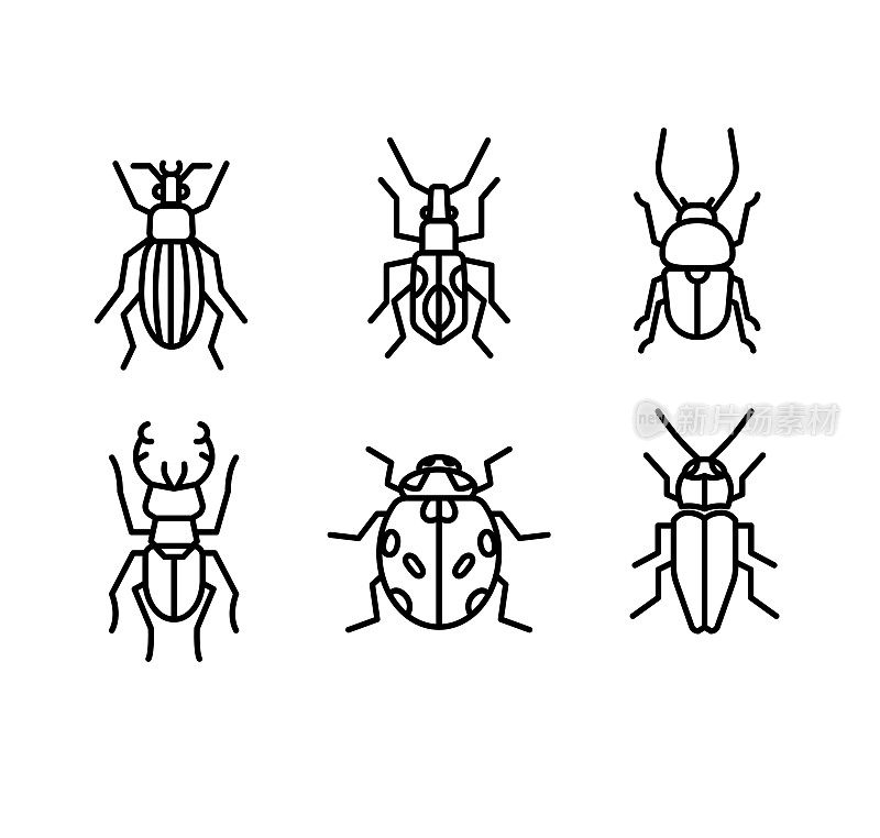 插图昆虫图标轮廓