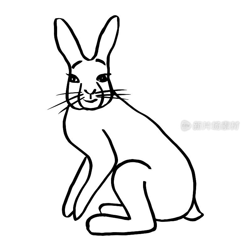 兔子等高线图。兔子涂鸦，素描插图。兔子坐着后腿，前腿抬起，小尾巴，直勾勾地望着前方。涂色书，标志，图标，野生动物，复活节明信片