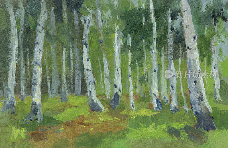白桦林油画。