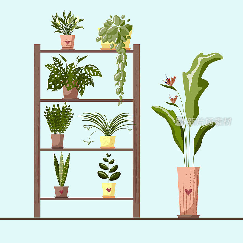 在室内室内的花盆中放置室内植物和家用花卉。平面矢量
