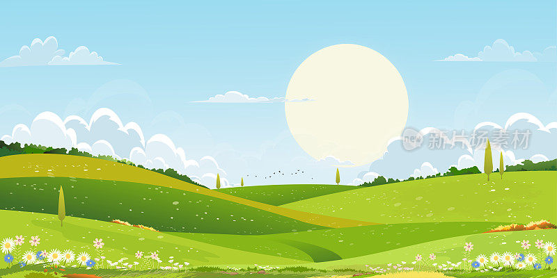春天碧绿的田野景观，阳光照在山上，蓝天白云为背景，全景乡村自然在春天与绿色的草地。卡通矢量插图的春天和夏天的旗帜