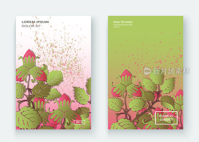 草莓图案设计模板产品。手绘红莓。可爱时髦的背景开花绿叶灌木。平面插图婚礼，邀请，海报，卡片，封面，产品矢量