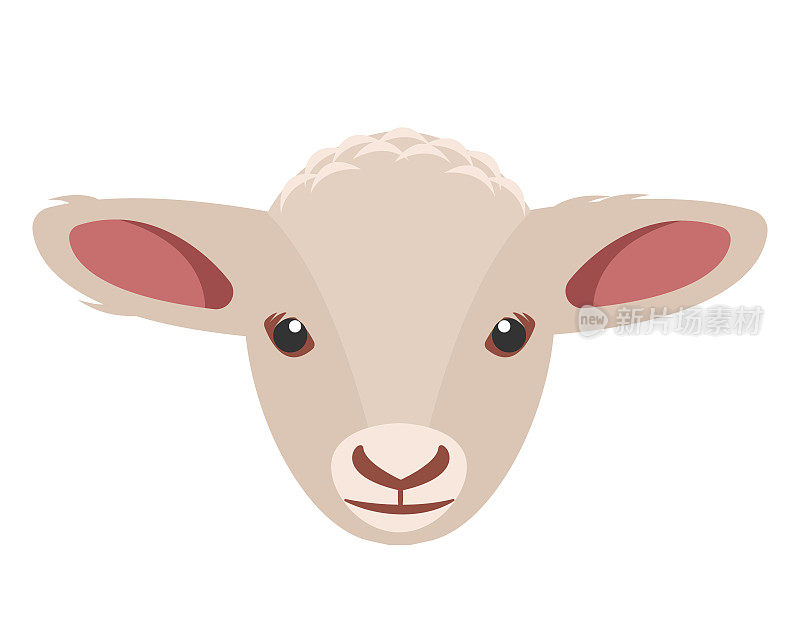 小绵羊头图标。农场动物的脸。羊毛肉生产。在白色背景上孤立的羔羊动物。