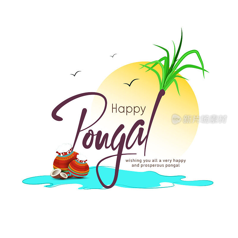 印度泰米尔纳德邦庆祝丰收的节日Pongal快乐