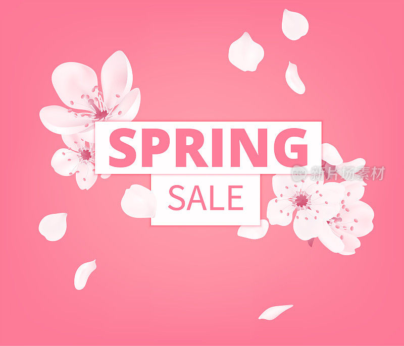 春季销售横幅模板与鲜花盛开。樱花粉红色的花朵，春天盛开的樱花贺卡上粉红色的背景