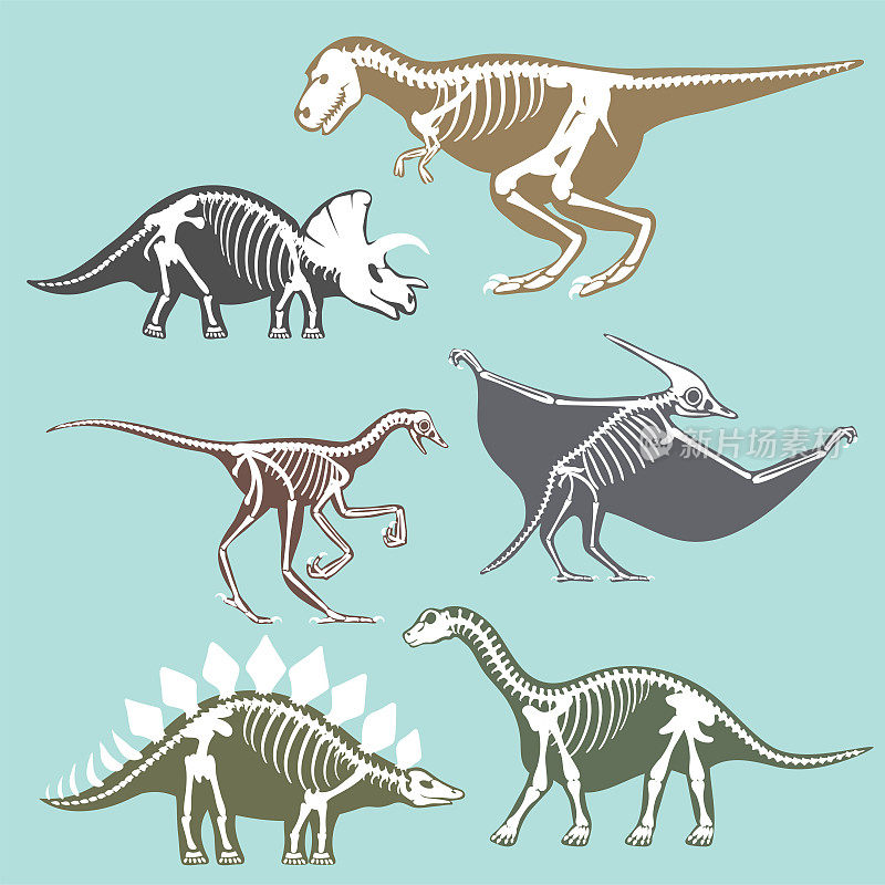 恐龙骨骼剪影设置化石骨霸王龙史前动物恐龙骨矢量平面插图