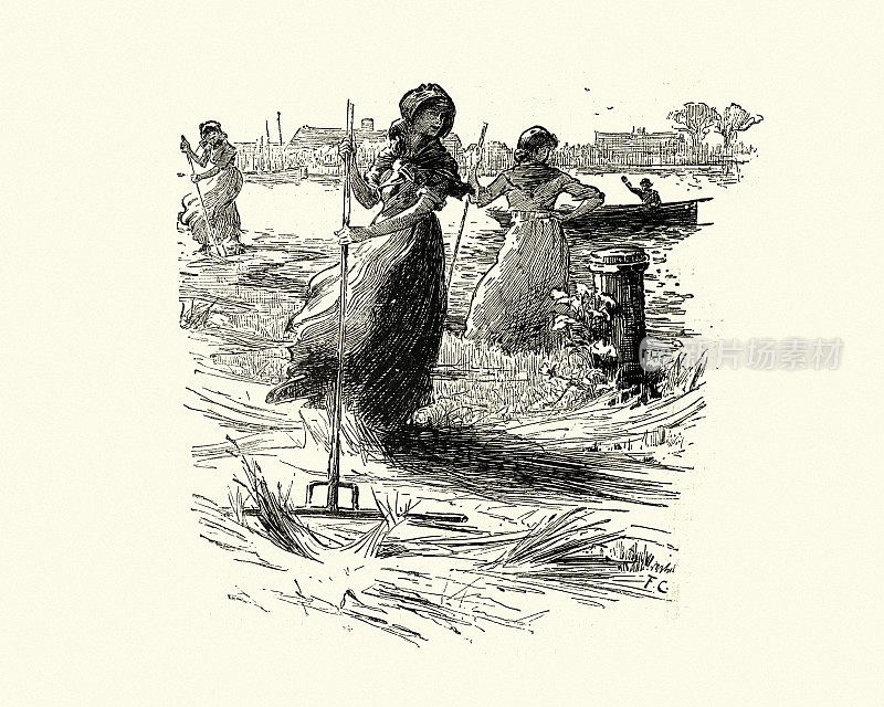 19世纪，维多利亚时代在田里割草的女农业工人