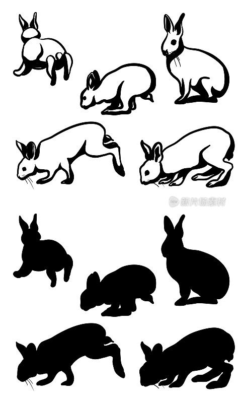 兔子的动作剪影